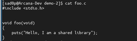 shared object foo.c source